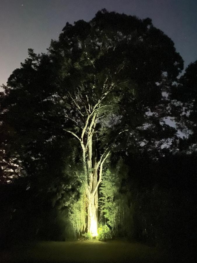 Petrópolis Recanto Da Floresta - Casa De Campo Em Secretario מראה חיצוני תמונה