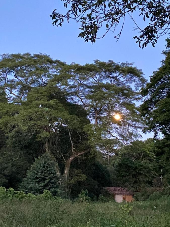 Petrópolis Recanto Da Floresta - Casa De Campo Em Secretario מראה חיצוני תמונה